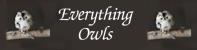Everything Owls Everything Owls