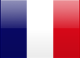 FRENCH FLAG