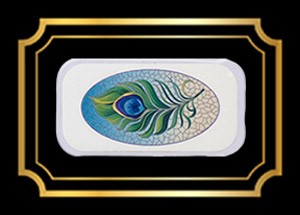 Bead Hide Peacock Feather