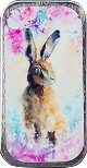 MST5 March Hare MST5 March Hare